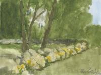 Stone Wall in Spring - Sketch by Ray Ellis