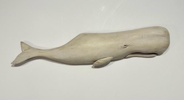 Moby Dick Sperm Whale B by Wendy Lichtensteiger
