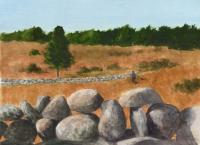 Stone Wall Field by Ray Ellis