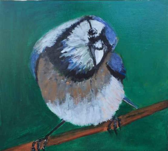 Blue Jay by Wendy Weldon