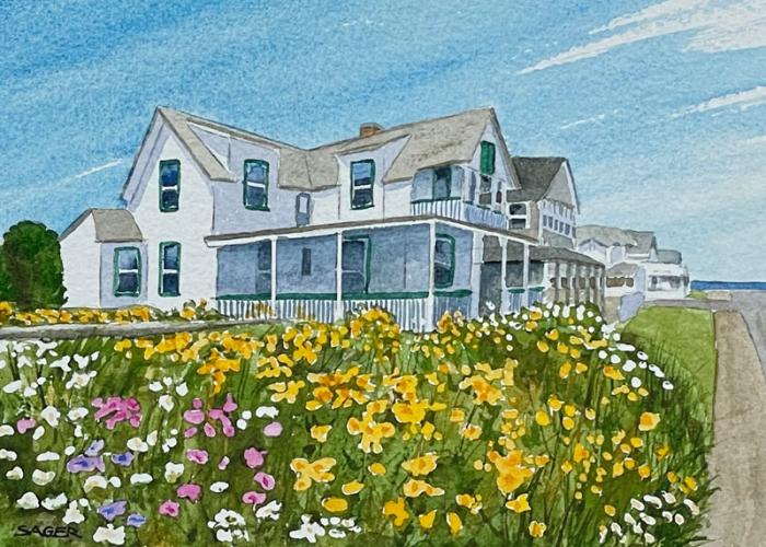 Wildflowers by the Sea by Scott Sager