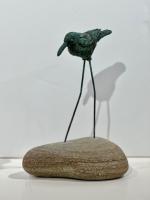 Seabird Alpha by Kate Winn