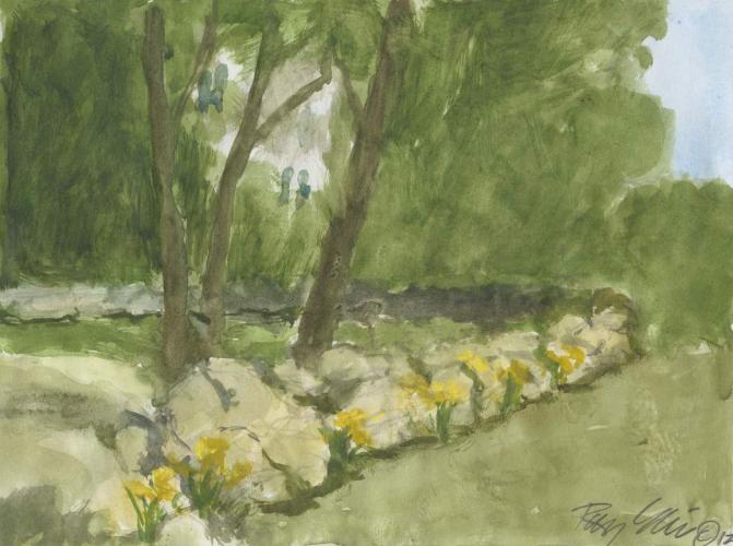 Stone Wall in Spring - Sketch by Ray Ellis