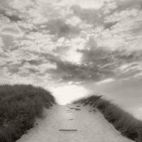 Pathway to the Beach by Michael Kahn